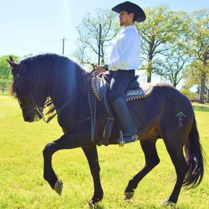 Meet your Posher, Fermin